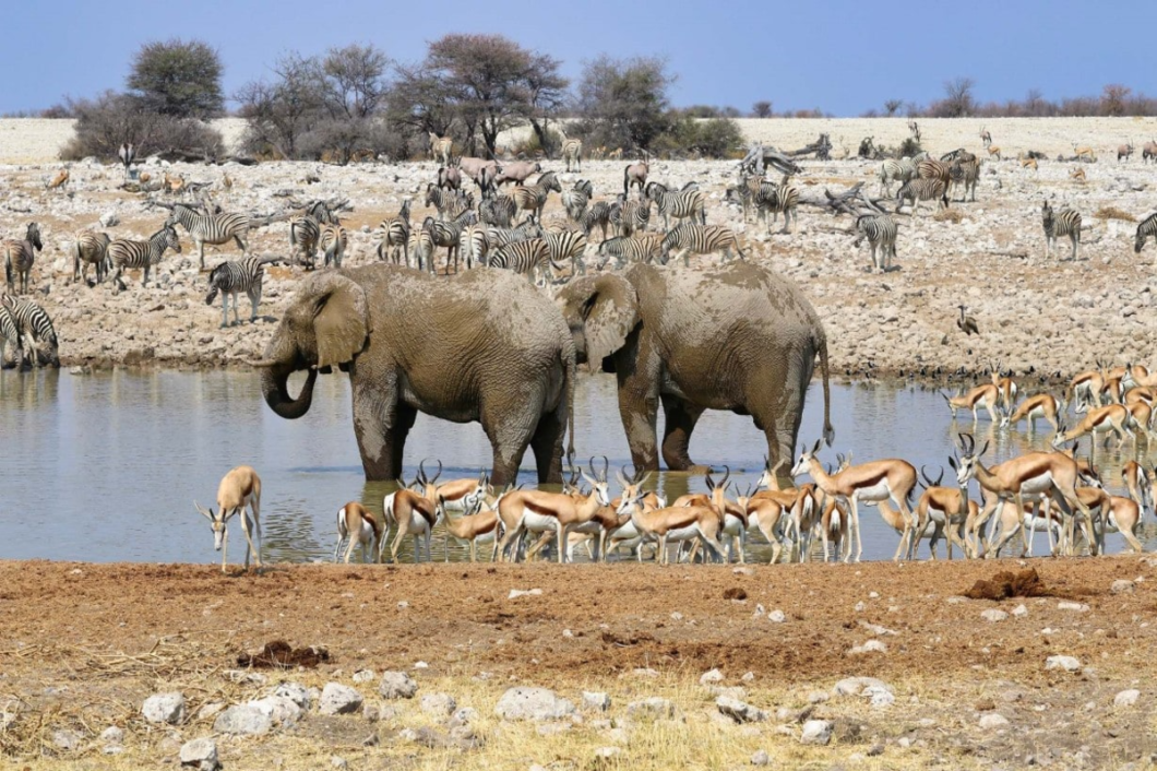 namibia4
