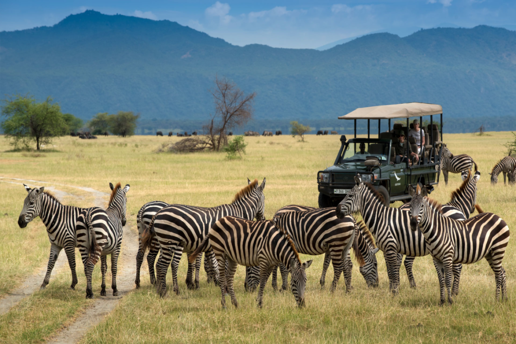 safari1
